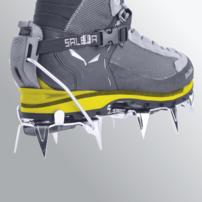 Topánky SALEWA MS Crow GTX